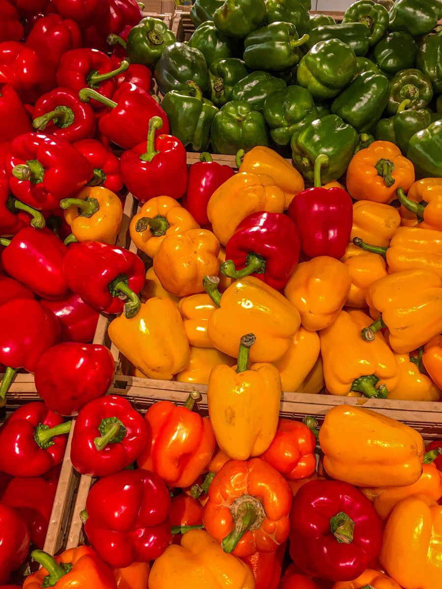 Fresh Roma Tomatoes